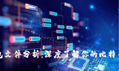 比特币钱包文件分析：深度了解你的比特币存储安全